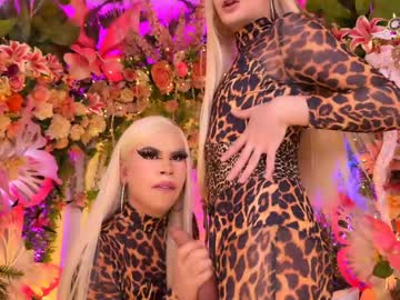 spicysluts live webcam