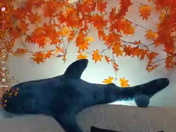 /register/ webcam capture