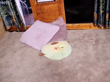 /register/ webcam capture