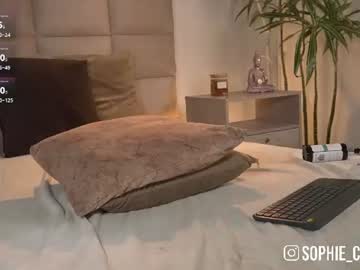 /register/ webcam capture